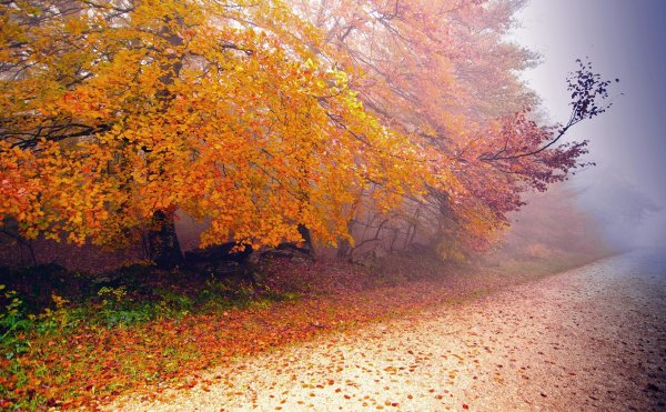 осенние пейзажи