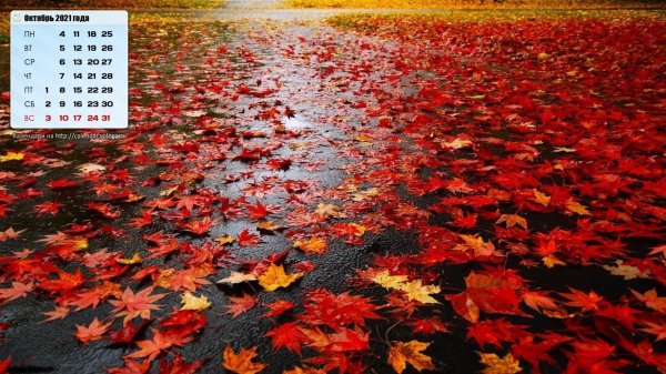обои на рабочий стол октябрь