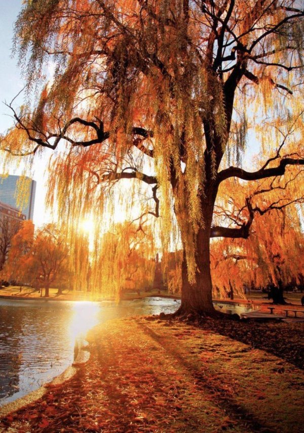 осенние пейзажи