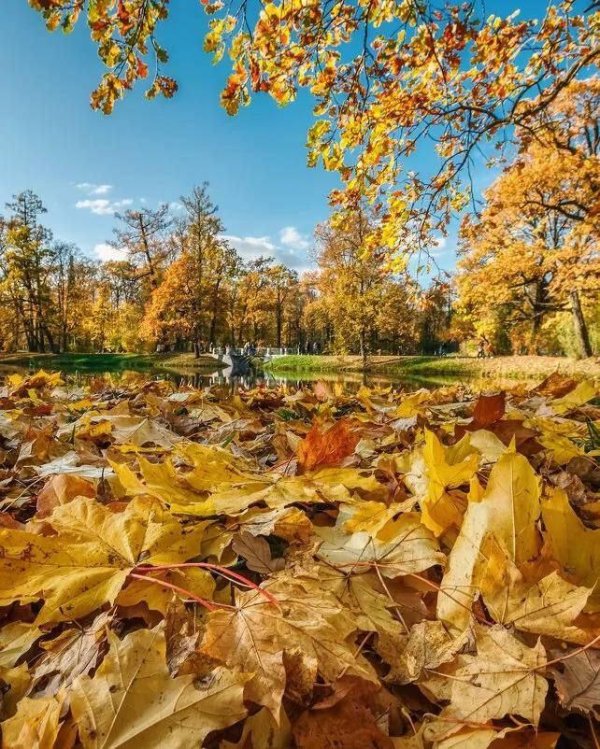 природа в октябре