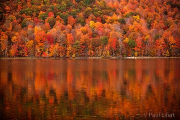 осенние пейзажи