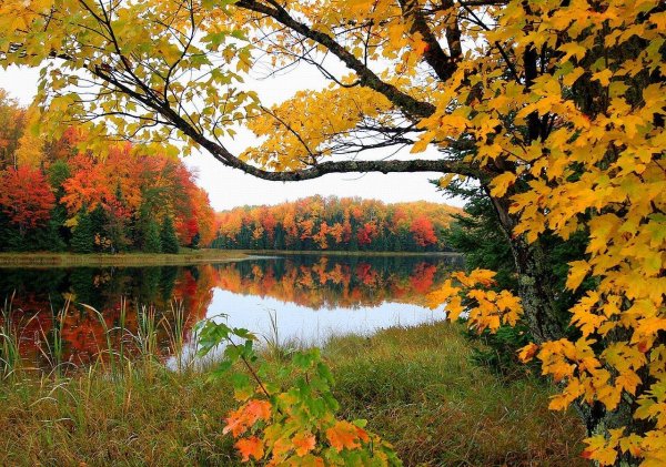 осенние пейзажи