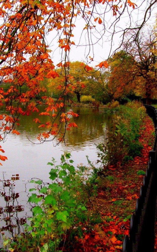 осенние пейзажи