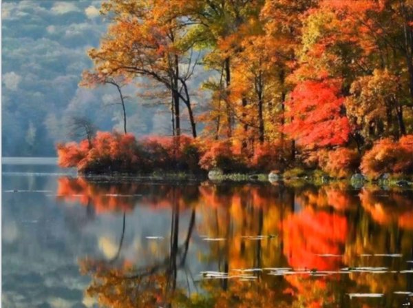 осенние пейзаж