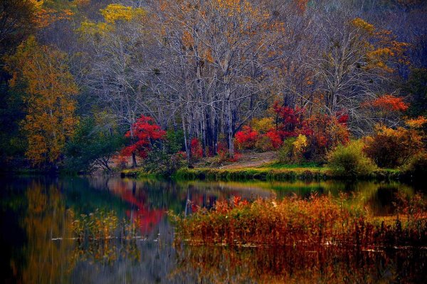 природа в октябре