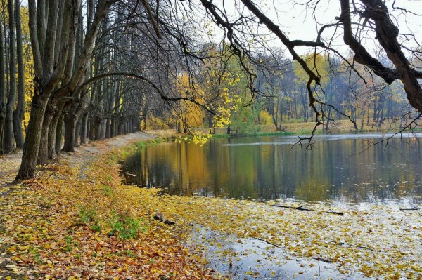 парк царицыно осень