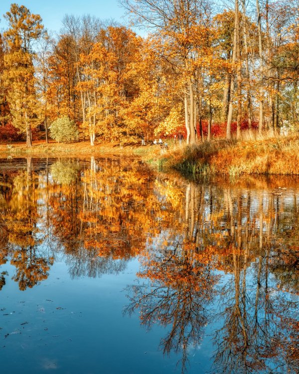 природа в октябре