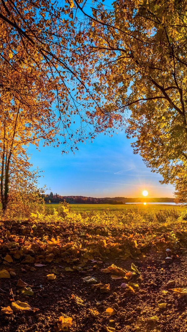 осенние пейзажи