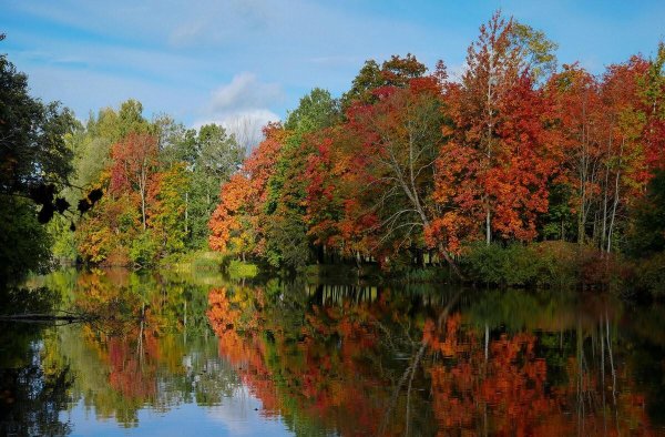 природа в октябре