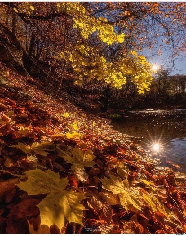 осенние пейзажи