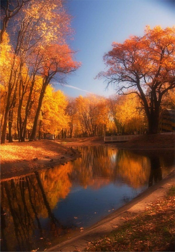 осенние пейзажи