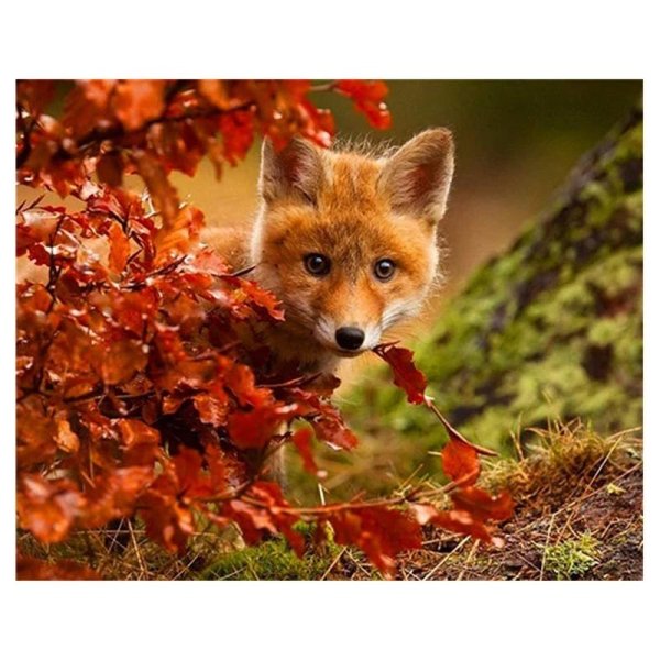 животные осень