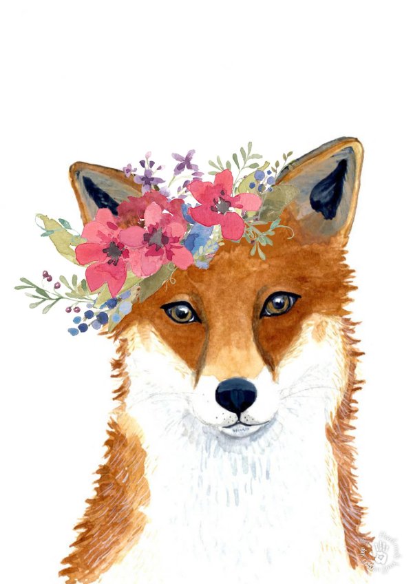 рисунки лисичек