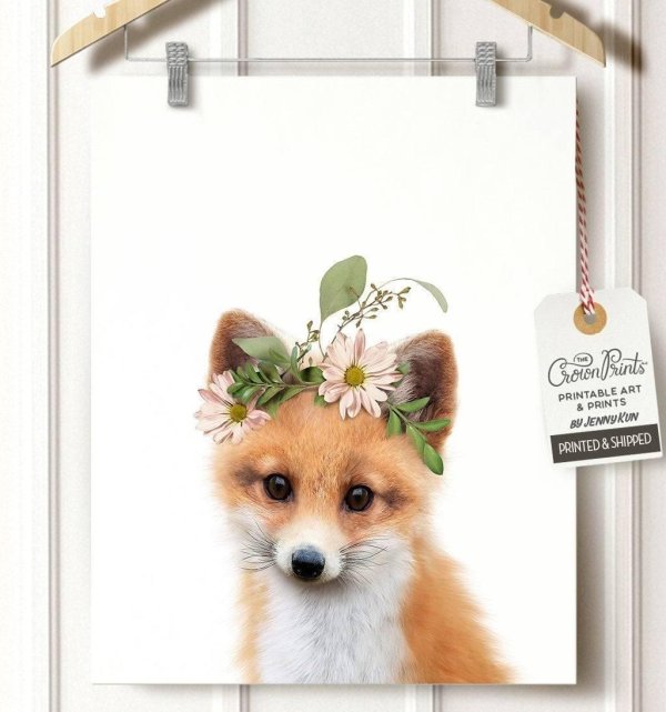 лисенок животные