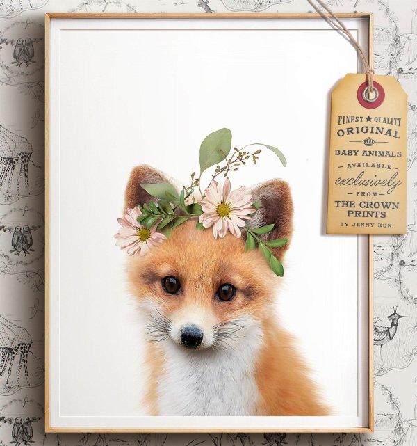 лисенок животные