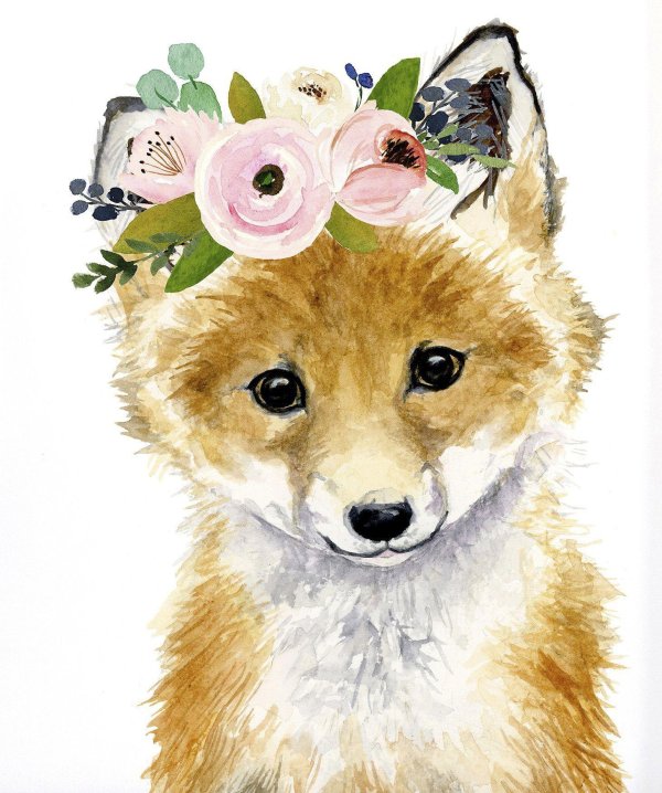 акварельные зверюшки