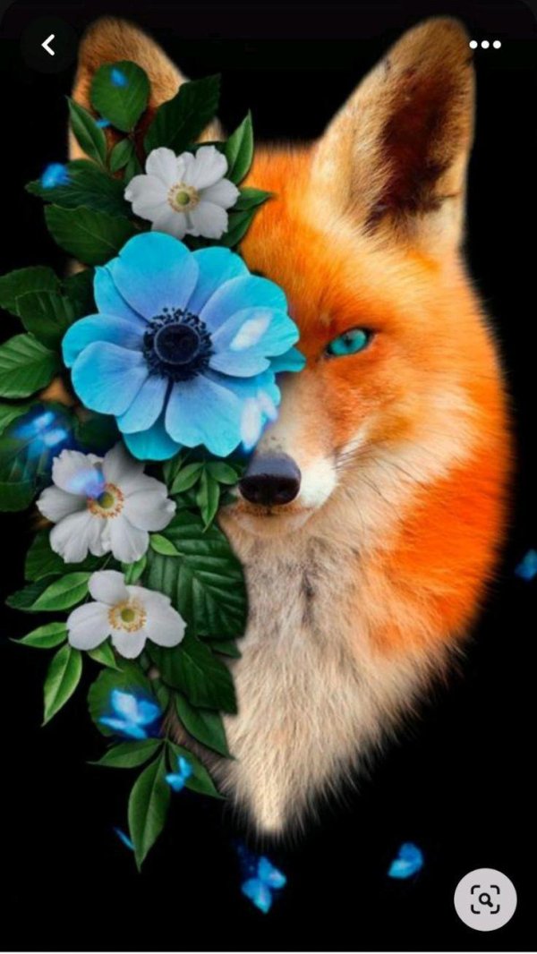 картины животные