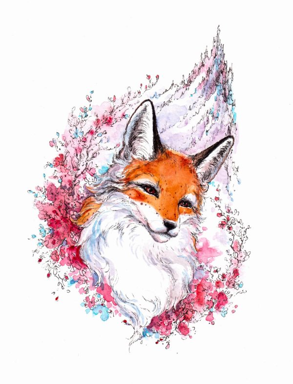 рисунок лисы