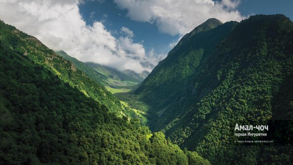 шоанское ущелье ингушетия