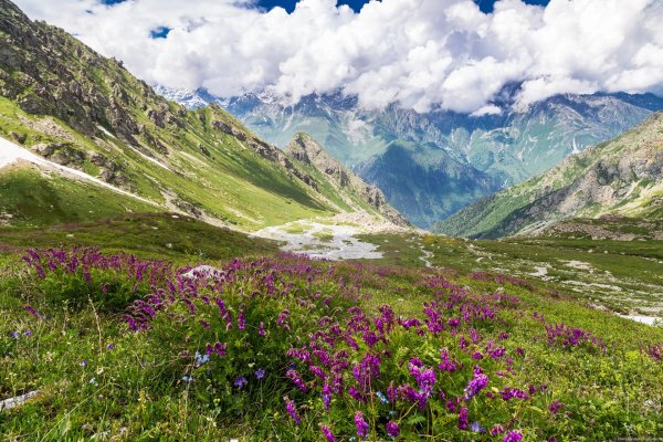 приэльбрусье национальный парк луга
