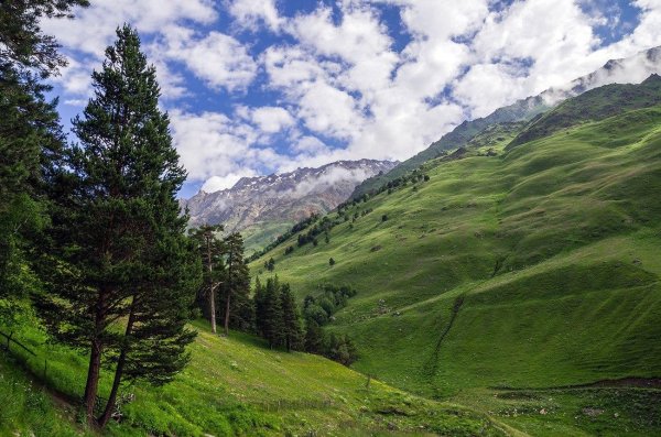 парк приэльбрусье кабардинобалкария