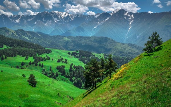 кавказский биосферный заповедник