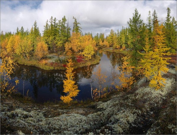 река печора осень