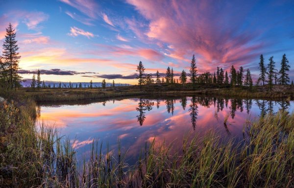 ненецкий автономный округ природа