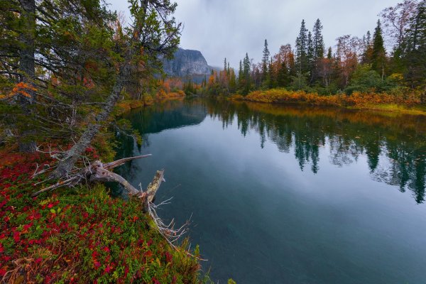 озеро джека лондона магаданская область