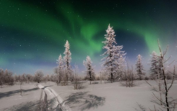 северное сияние ямбург