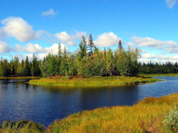 надымский район природа