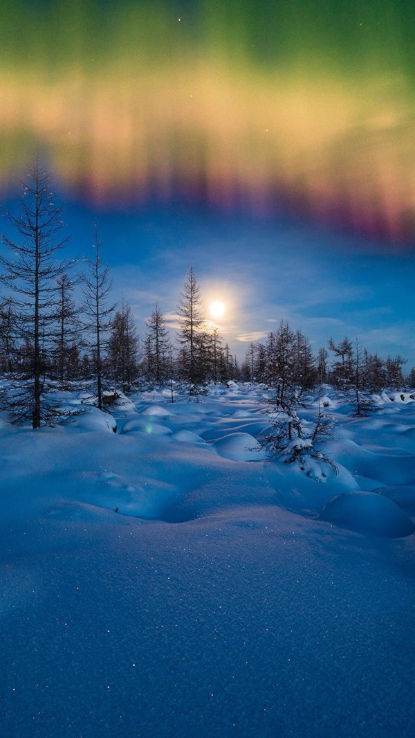 северное сияние в сибири