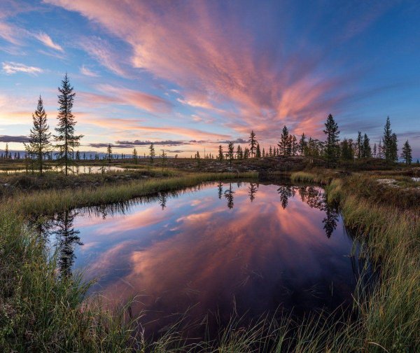 ненецкий автономный округ природа