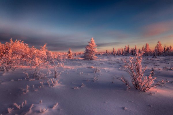 зимняя тундра