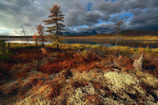 озеро джека лондона магадан