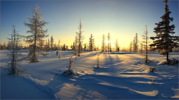 ямалоненецкий автономный округ заполярье