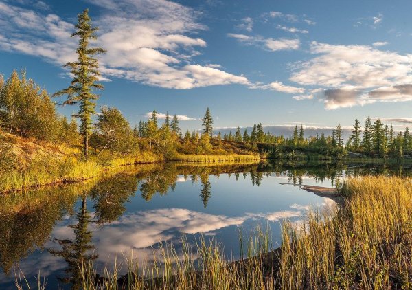 янао харп природа