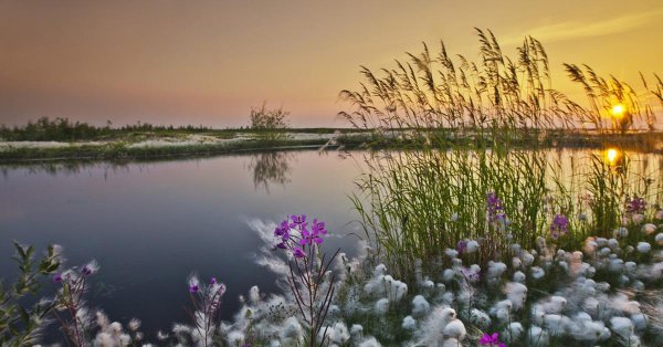 река иванчай деревня