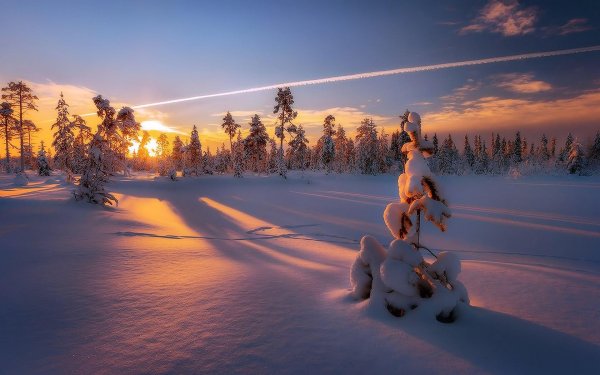 зимний рассвет