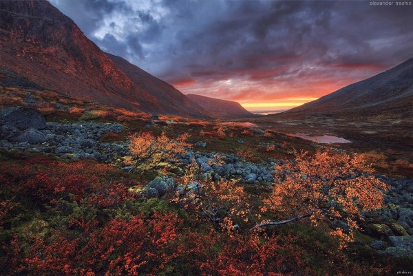 хибины кольский полуостров