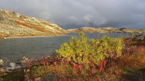 сопки кольского полуострова