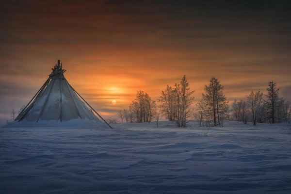 чум ненцев в тундре