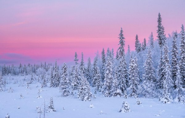 зимние пейзаж