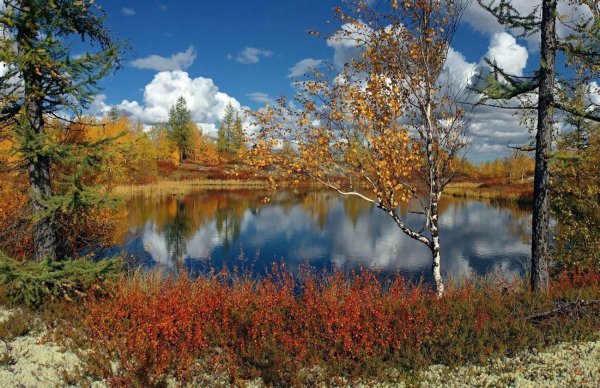 осень в карелии