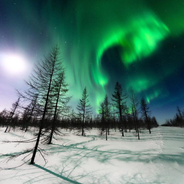 северное сияние таймыр