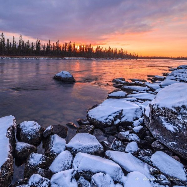 природа крайнего севера