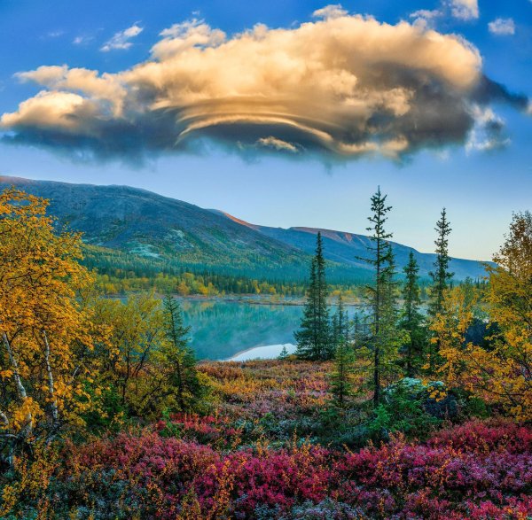 Природа севера