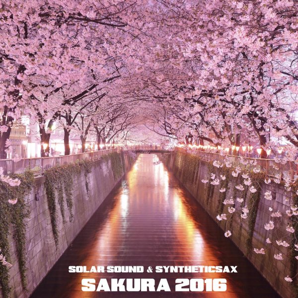 черри блоссом в токио