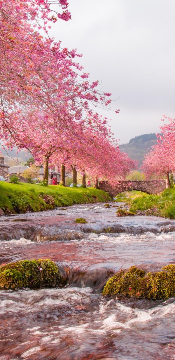 весенний пейзаж