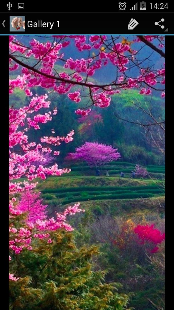 весна красивая